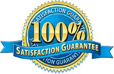 100-percent-guarantee-business