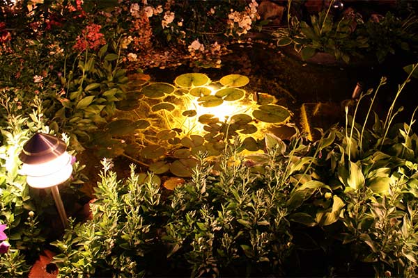 Landscape-Lighting