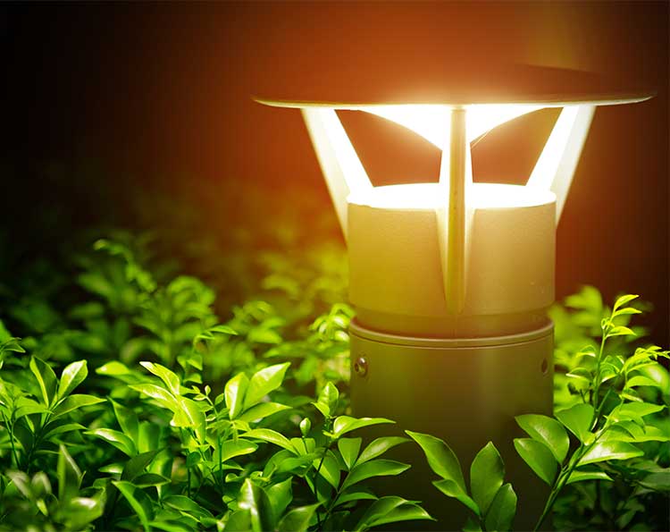 accent-light