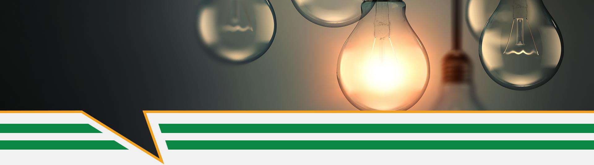electrician-bradenton-energy luminous-elecric-team-photo-hero