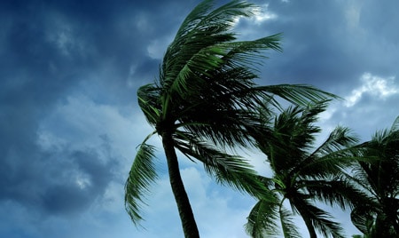 Hurricane Preparation Guideline